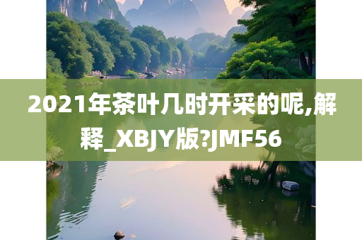 2021年茶叶几时开采的呢,解释_XBJY版?JMF56