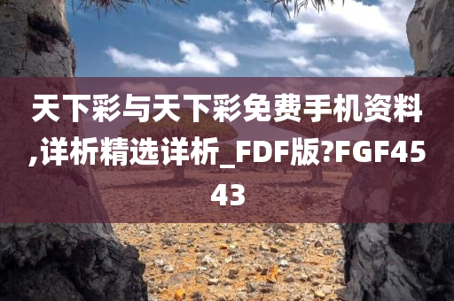 天下彩与天下彩免费手机资料,详析精选详析_FDF版?FGF4543