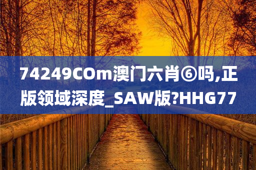 74249COm澳门六肖⑥吗,正版领域深度_SAW版?HHG77