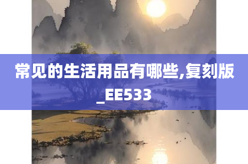 常见的生活用品有哪些,复刻版_EE533