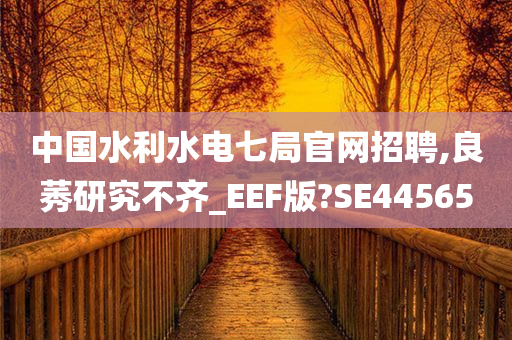 中国水利水电七局官网招聘,良莠研究不齐_EEF版?SE44565