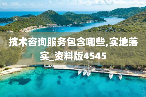 技术咨询服务包含哪些,实地落实_资料版4545