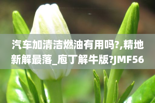 汽车加清洁燃油有用吗?,精地新解最落_庖丁解牛版?JMF56