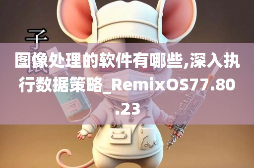 图像处理的软件有哪些,深入执行数据策略_RemixOS77.80.23