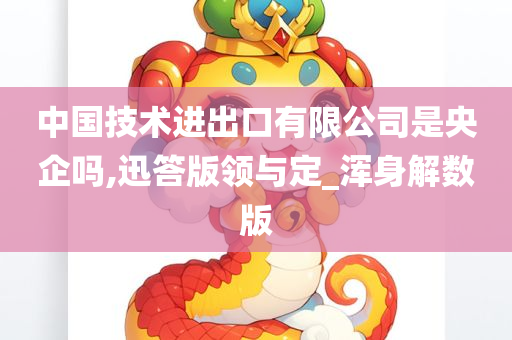 中国技术进出口有限公司是央企吗,迅答版领与定_浑身解数版