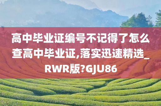 高中毕业证编号不记得了怎么查高中毕业证,落实迅速精选_RWR版?GJU86