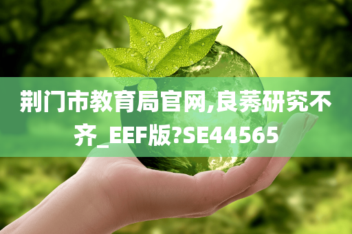 荆门市教育局官网,良莠研究不齐_EEF版?SE44565