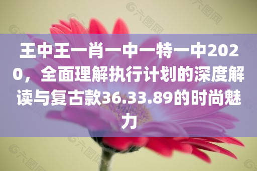 王中王一肖一中一特一中2020，全面理解执行计划的深度解读与复古款36.33.89的时尚魅力