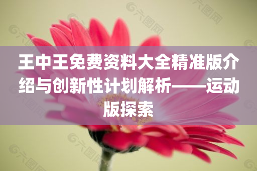 王中王免费资料大全精准版介绍与创新性计划解析——运动版探索