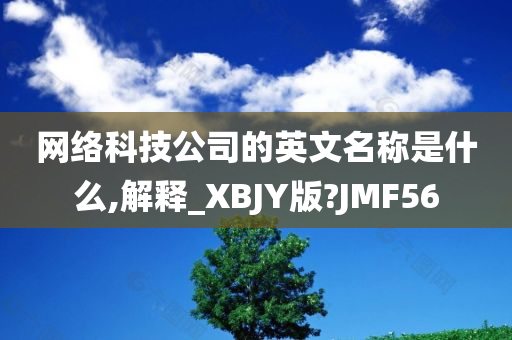 网络科技公司的英文名称是什么,解释_XBJY版?JMF56