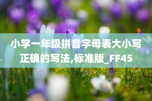 小学一年级拼音字母表大小写正确的写法,标准版_FF45