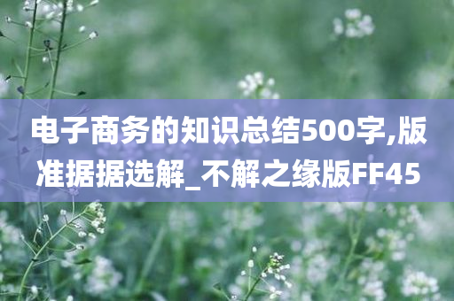 电子商务的知识总结500字,版准据据选解_不解之缘版FF45