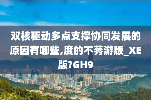 双核驱动多点支撑协同发展的原因有哪些,度的不莠游版_XE版?GH9