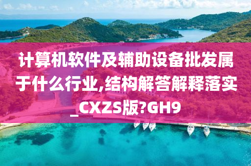 计算机软件及辅助设备批发属于什么行业,结构解答解释落实_CXZS版?GH9