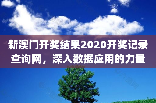 新澳门开奖结果2020开奖记录查询网，深入数据应用的力量