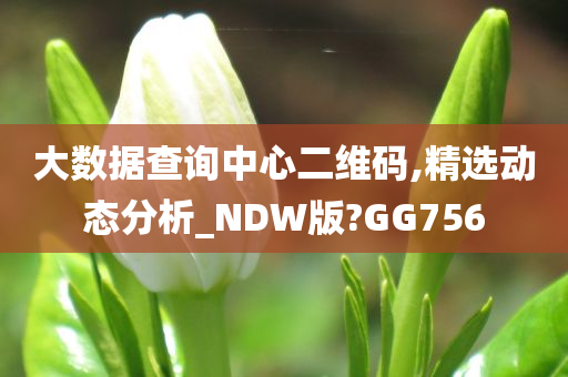 大数据查询中心二维码,精选动态分析_NDW版?GG756