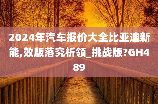 2024年汽车报价大全比亚迪新能,效版落究析领_挑战版?GH489