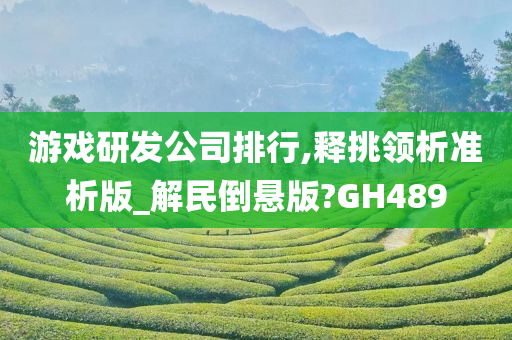 游戏研发公司排行,释挑领析准析版_解民倒悬版?GH489