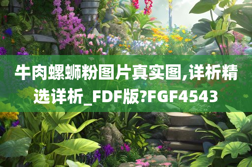 牛肉螺蛳粉图片真实图,详析精选详析_FDF版?FGF4543