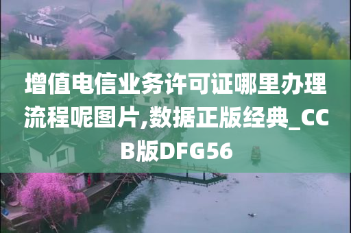 增值电信业务许可证哪里办理流程呢图片,数据正版经典_CCB版DFG56