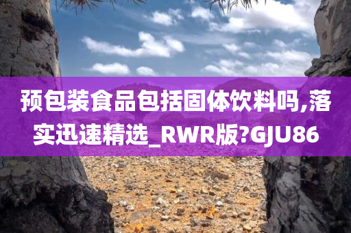 预包装食品包括固体饮料吗,落实迅速精选_RWR版?GJU86