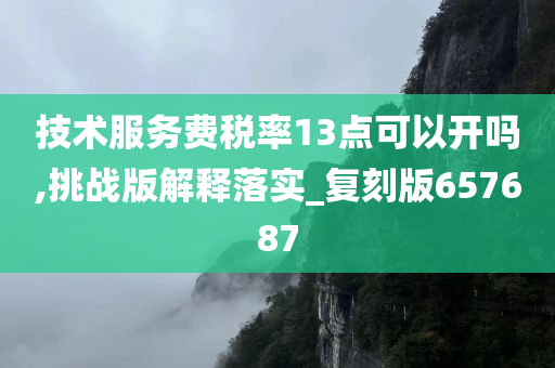 技术服务费税率13点可以开吗,挑战版解释落实_复刻版657687