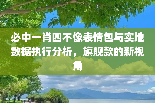 必中一肖四不像表情包与实地数据执行分析，旗舰款的新视角