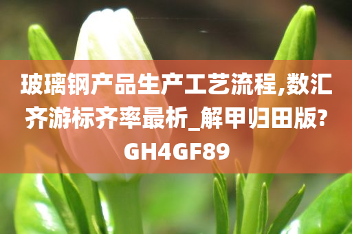 玻璃钢产品生产工艺流程,数汇齐游标齐率最析_解甲归田版?GH4GF89