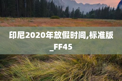 印尼2020年放假时间,标准版_FF45