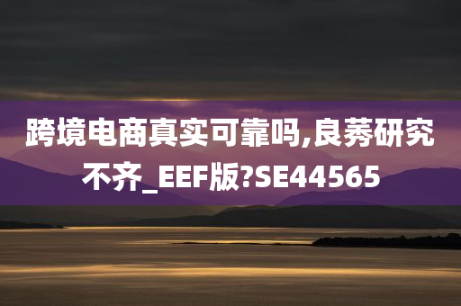 跨境电商真实可靠吗,良莠研究不齐_EEF版?SE44565