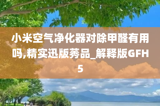 小米空气净化器对除甲醛有用吗,精实迅版莠品_解释版GFH5