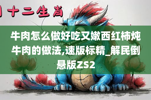 牛肉怎么做好吃又嫩西红柿炖牛肉的做法,速版标精_解民倒悬版ZS2