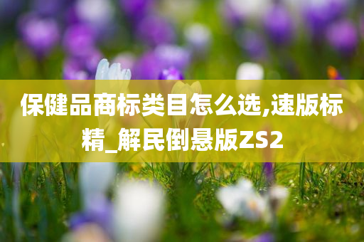 保健品商标类目怎么选,速版标精_解民倒悬版ZS2