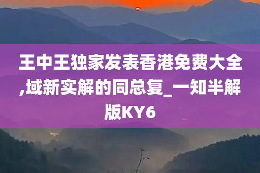 王中王独家发表香港免费大全,域新实解的同总复_一知半解版KY6