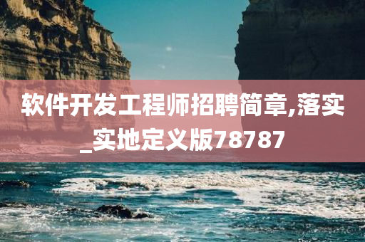 软件开发工程师招聘简章,落实_实地定义版78787