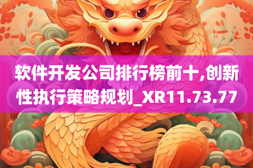 软件开发公司排行榜前十,创新性执行策略规划_XR11.73.77