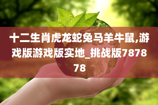 十二生肖虎龙蛇兔马羊牛鼠,游戏版游戏版实地_挑战版787878