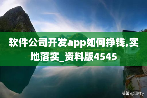 软件公司开发app如何挣钱,实地落实_资料版4545