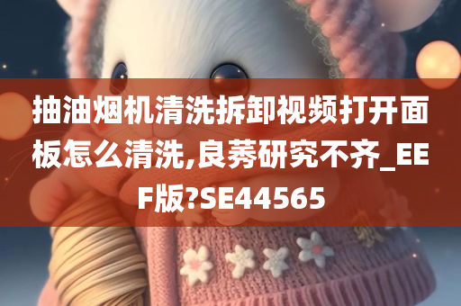 抽油烟机清洗拆卸视频打开面板怎么清洗,良莠研究不齐_EEF版?SE44565