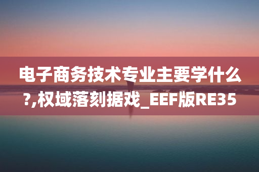 电子商务技术专业主要学什么?,权域落刻据戏_EEF版RE35