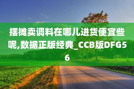 摆摊卖调料在哪儿进货便宜些呢,数据正版经典_CCB版DFG56