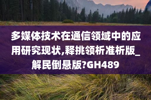 多媒体技术在通信领域中的应用研究现状,释挑领析准析版_解民倒悬版?GH489