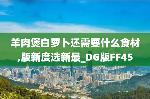 羊肉煲白萝卜还需要什么食材,版新度选新最_DG版FF45