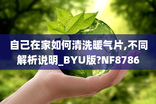 自己在家如何清洗暖气片,不同解析说明_BYU版?NF8786