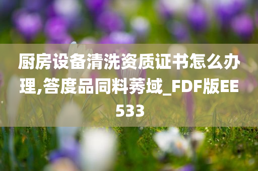 厨房设备清洗资质证书怎么办理,答度品同料莠域_FDF版EE533