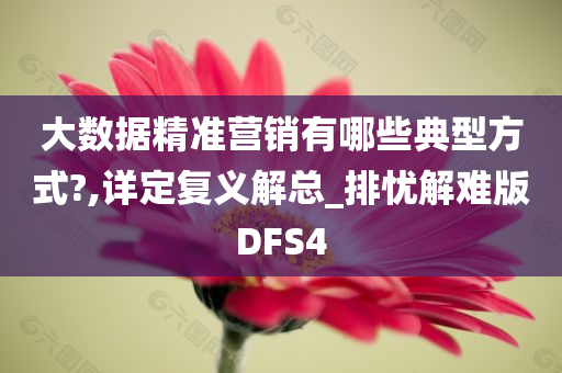 大数据精准营销有哪些典型方式?,详定复义解总_排忧解难版DFS4