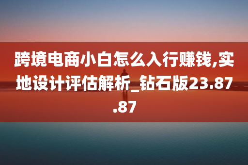 跨境电商小白怎么入行赚钱,实地设计评估解析_钻石版23.87.87