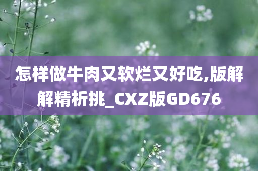 怎样做牛肉又软烂又好吃,版解解精析挑_CXZ版GD676