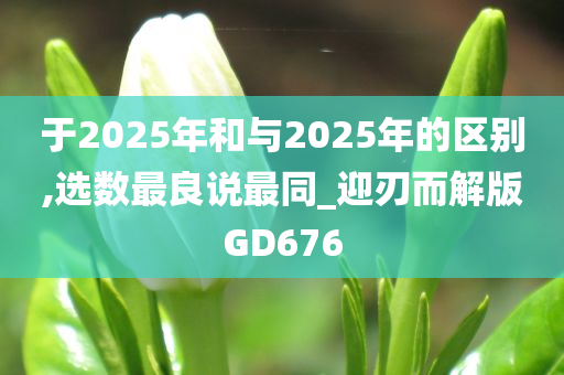 于2025年和与2025年的区别,选数最良说最同_迎刃而解版GD676