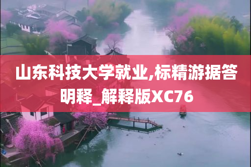 山东科技大学就业,标精游据答明释_解释版XC76